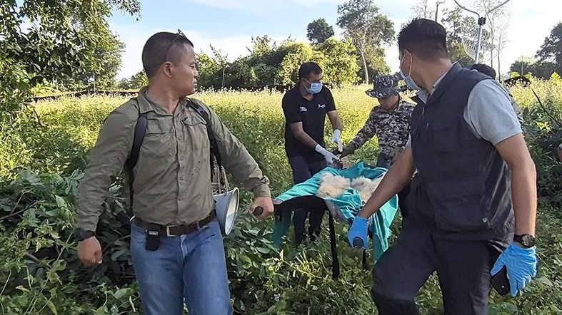 Hoolock gibbon family rescued after four‑day operation in Arunachal Pradesh Hoolock gibbon family rescued after four‑day operation in Arunachal Pradesh