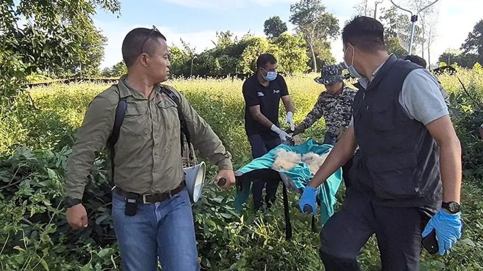 Hoolock gibbon family rescued after four‑day operation in Arunachal Pradesh Hoolock gibbon family rescued after four‑day operation in Arunachal Pradesh
