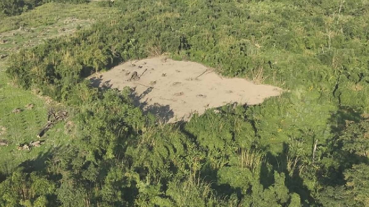 Arunachal: Namsai administration issues final warning as crackdown on illegal poppy cultivation Arunachal: Namsai administration issues final warning as crackdown on illegal poppy cultivation