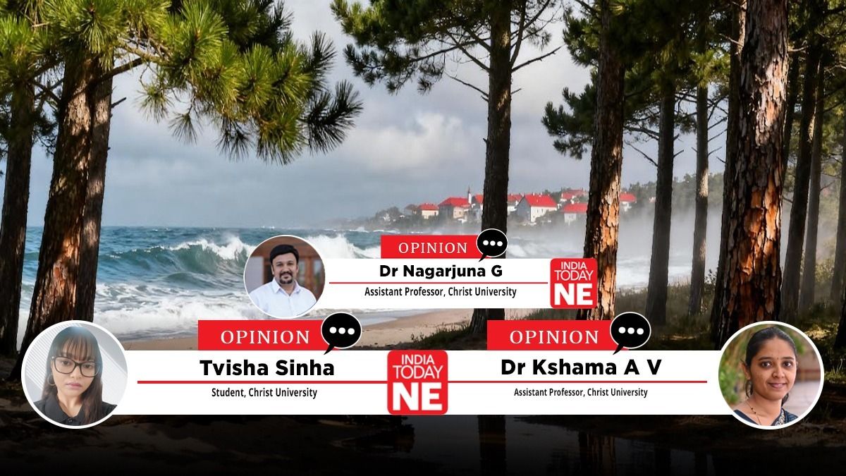 How Japan’s coastal pine forests are becoming nature’s frontline against Tsunamis How Japan’s coastal pine forests are becoming nature’s frontline against Tsunamis