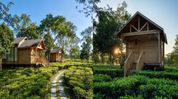 The Postcard in Assam's Durrung Tea Estate crowned as 'Hotel of the Year 2025' by The Gallivanter’s Guide The Postcard in Assam's Durrung Tea Estate crowned as 'Hotel of the Year 2025' by The Gallivanter’s Guide