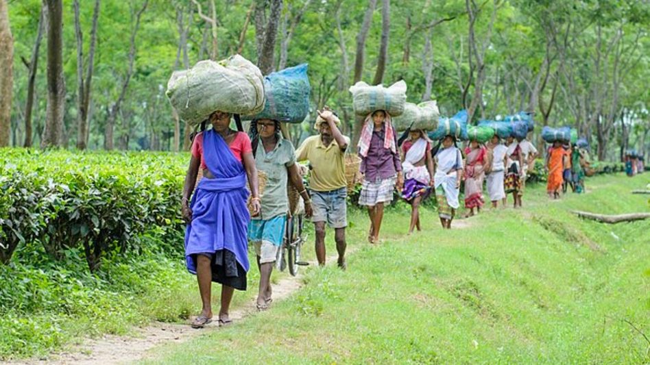 Tea garden workers’ body flags neglect in Assam during meeting with Jharkhand CM Tea garden workers’ body flags neglect in Assam during meeting with Jharkhand CM