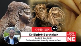 The Assam connection of the Mediterranean in antiquity - Cleopatra in a Muga stola? The Assam connection of the Mediterranean in antiquity - Cleopatra in a Muga stola?