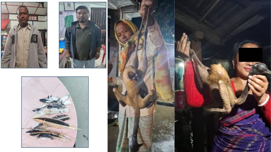 Rs 400 poaching of endangered Bengal Florican: Two detained in Assam’s Chirang Rs 400 poaching of endangered Bengal Florican: Two detained in Assam’s Chirang