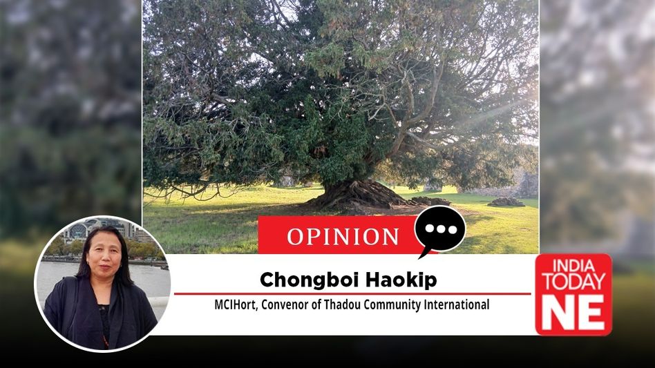 Standing Tall: A Christmas Message of Resilience and Hope for Manipur Standing Tall: A Christmas Message of Resilience and Hope for Manipur