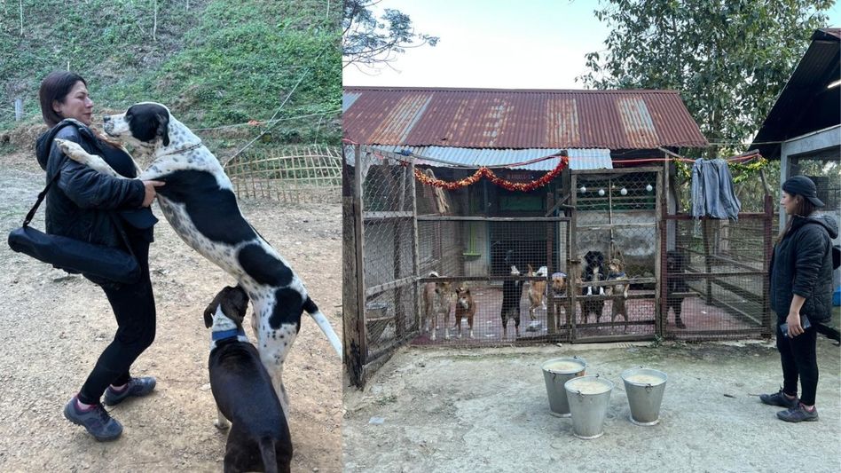 Mizoram animal rescue shelter opens doors to public, day dedicated to late journalist Mizoram animal rescue shelter opens doors to public, day dedicated to late journalist