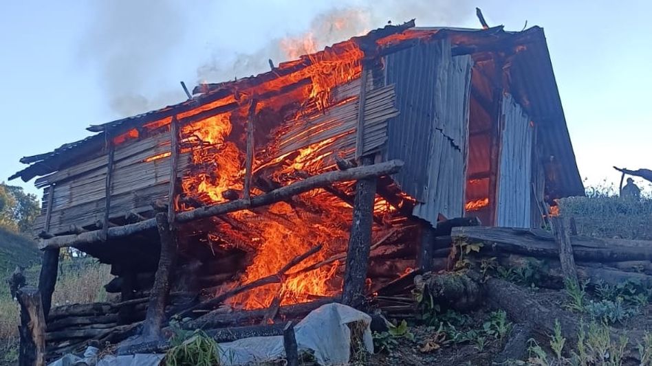 35 acres of poppy destroyed in multi-agency operation in Manipur’s Kangpokpi 35 acres of poppy destroyed in multi-agency operation in Manipur’s Kangpokpi