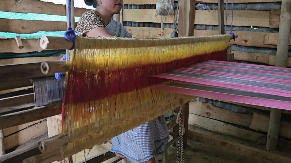 Meghalaya’s Ryndia flagged as key success story in India’s textile reforms Meghalaya’s Ryndia flagged as key success story in India’s textile reforms