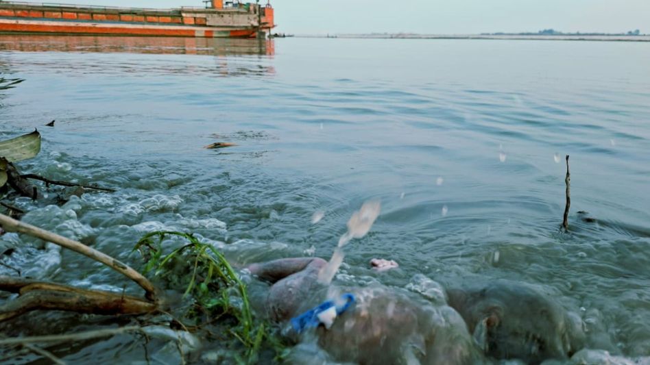 Newborn's body found abandoned in Assam's Dhubri, sparks public outcry Newborn's body found abandoned in Assam's Dhubri, sparks public outcry