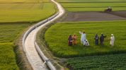 Reaching the Last Field: How Canal Water is Transforming Punjab’s Agriculture Reaching the Last Field: How Canal Water is Transforming Punjab’s Agriculture