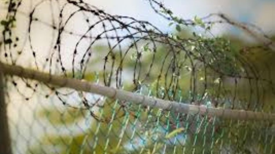 Mizoram groups ask PM to halt Indo-Myanmar border fencing, cite threat to indigenous ties Mizoram groups ask PM to halt Indo-Myanmar border fencing, cite threat to indigenous ties