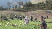 Poppy cultivation on 8 acres destroyed in Arunachal’s Longding Poppy cultivation on 8 acres destroyed in Arunachal’s Longding