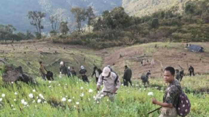 Representative Image