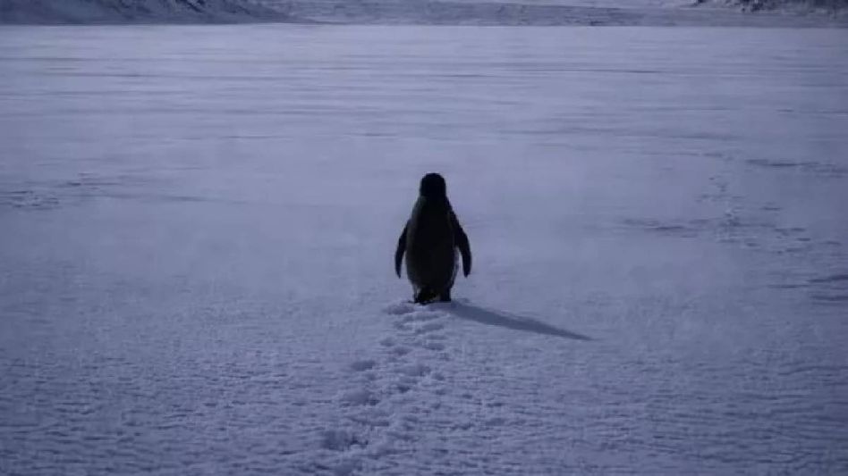 Nihilist penguin's 'Death March': Why we are marching with it in 2026 Nihilist penguin's 'Death March': Why we are marching with it in 2026