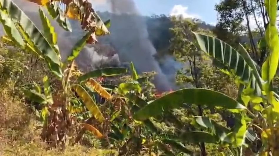 No village burnt, only illegal poppy farmhouses razed: Naga committee counters Kuki CSO claims No village burnt, only illegal poppy farmhouses razed: Naga committee counters Kuki CSO claims