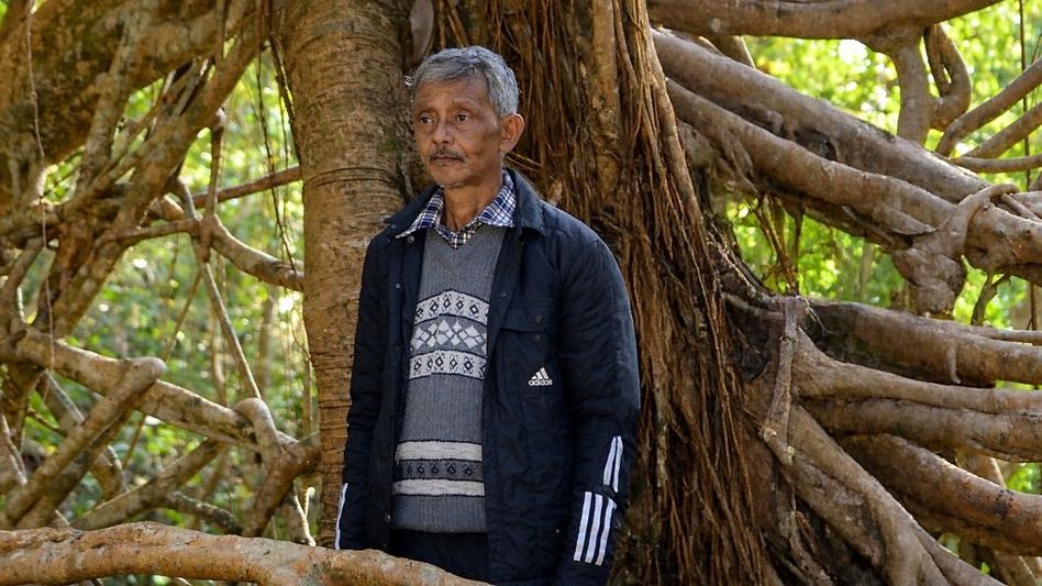 How a Meghalaya man's childhood game became a life of living bridges How a Meghalaya man's childhood game became a life of living bridges