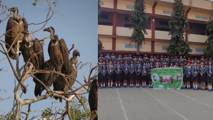 Photo: Vandan Jhaveri, BNHS