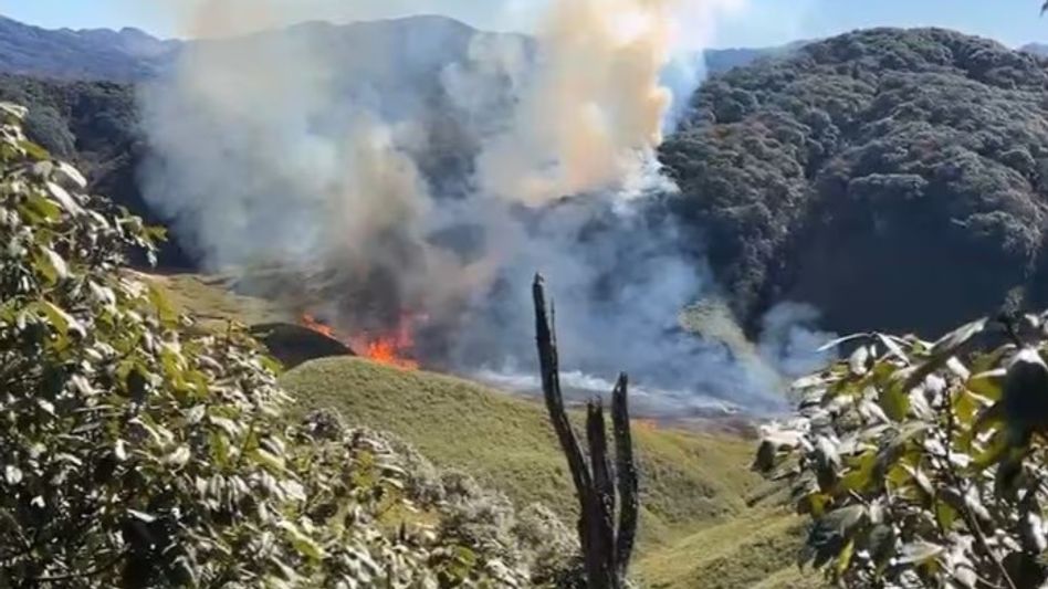 Wildfire in Nagaland’s southern Dzükou valley largely contained: Officials Wildfire in Nagaland’s southern Dzükou valley largely contained: Officials