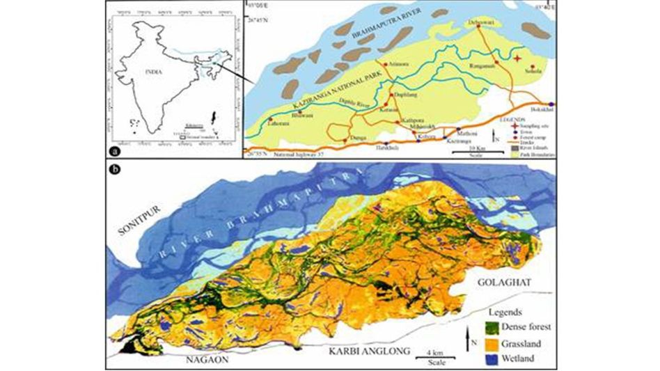 Kaziranga’s rhino habitat shaped by climate shifts and human pressure: Study Kaziranga’s rhino habitat shaped by climate shifts and human pressure: Study