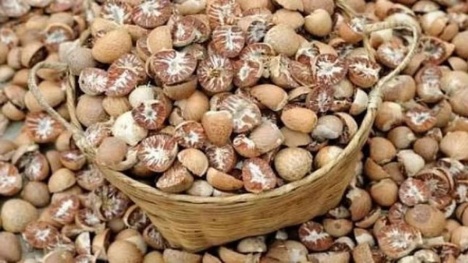 Mizoram cracks down on areca nut smuggling, home minister warns of action against officials and police Mizoram cracks down on areca nut smuggling, home minister warns of action against officials and police