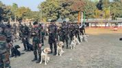 Indigenous dog breeds strengthen Assam Rifles’ Atmanirbhar initiative Indigenous dog breeds strengthen Assam Rifles’ Atmanirbhar initiative
