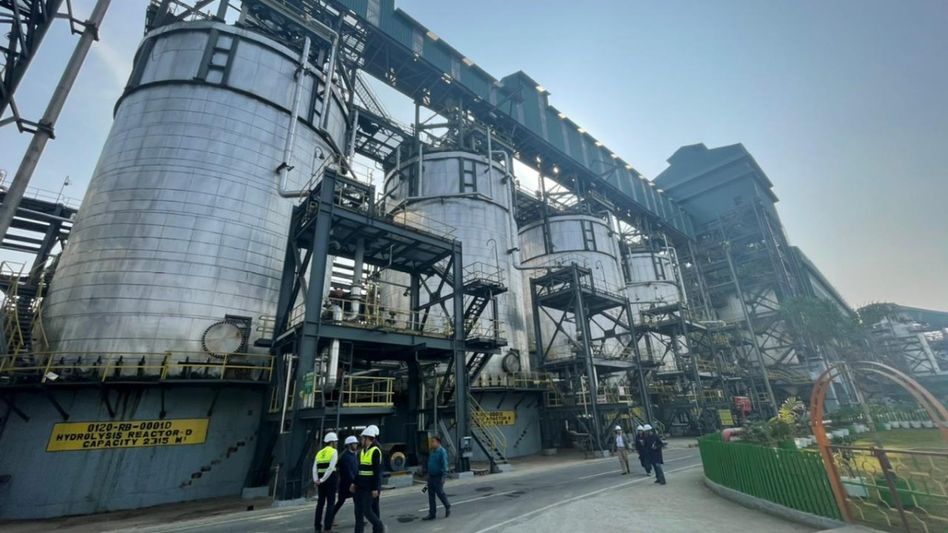 Bamboo to Biofuel: How Assam is powering India’s green energy future Bamboo to Biofuel: How Assam is powering India’s green energy future