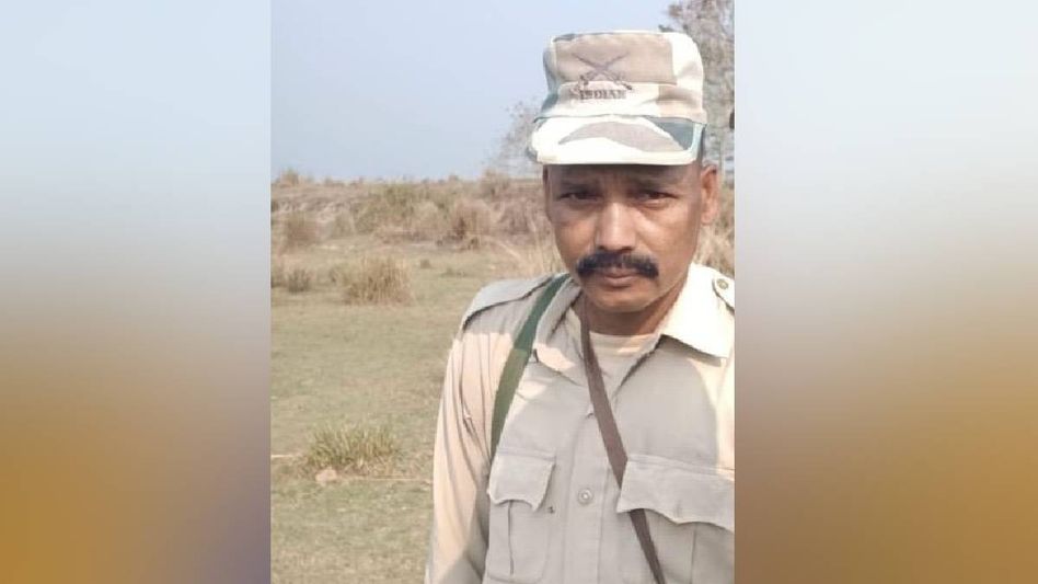 Assam: Forest home guard killed in rhino attack at Kaziranga, another staff injured Assam: Forest home guard killed in rhino attack at Kaziranga, another staff injured