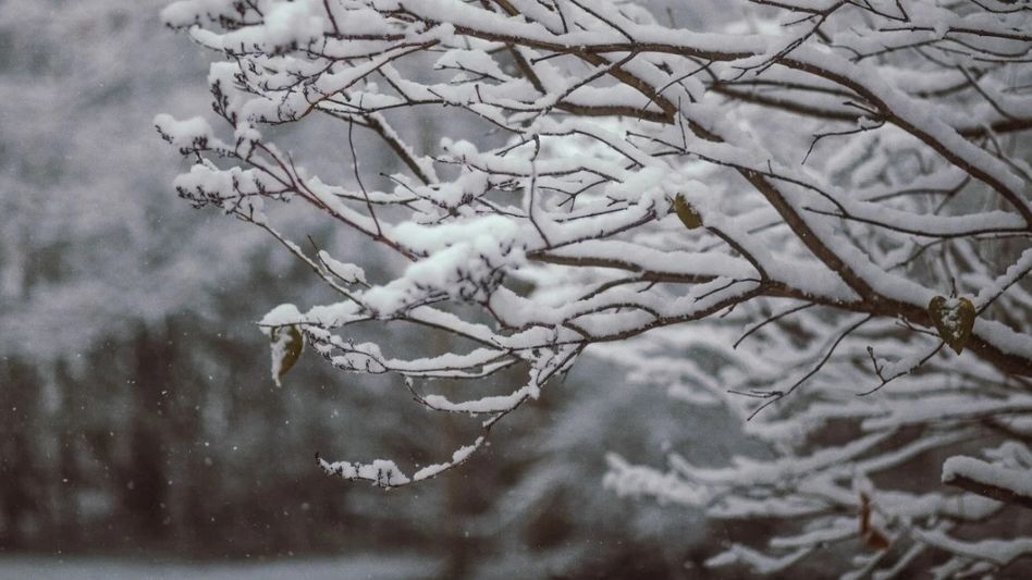 Snowfall alert: Arunachal's Lower Dibang police issue strict travel advisory for Mayodia route Snowfall alert: Arunachal's Lower Dibang police issue strict travel advisory for Mayodia route