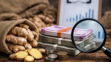 AI Generated Image AI Generated Image