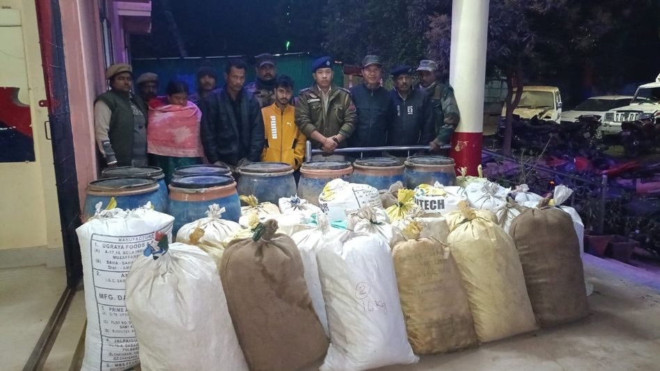 Tripura police seize cannabis worth Rs 20 lakh; six held, one absconding Tripura police seize cannabis worth Rs 20 lakh; six held, one absconding