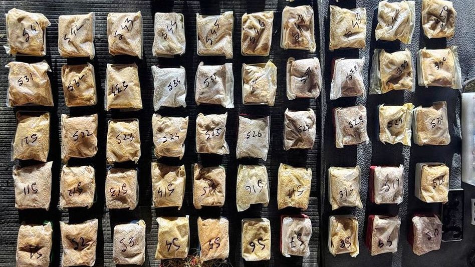 Assam Rifles seizes heroin worth Rs 4.05 crore in Cachar Assam Rifles seizes heroin worth Rs 4.05 crore in Cachar