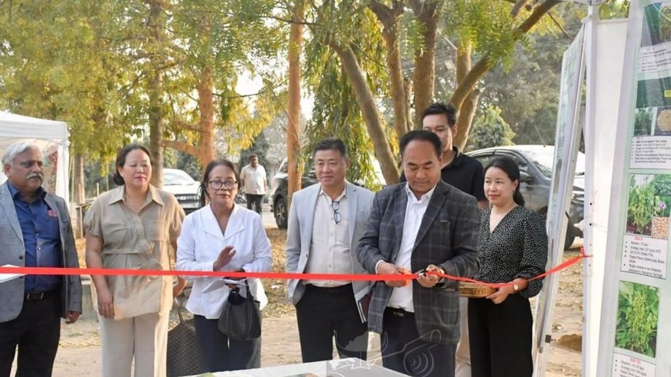 Soybean festival begins in Chümoukedima to boost production in Nagaland Soybean festival begins in Chümoukedima to boost production in Nagaland
