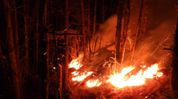 Arunachal police register case over massive forest fire in Lower Dibang Valley Arunachal police register case over massive forest fire in Lower Dibang Valley