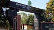 Assam Agricultural University leads soybean drive to strengthen nutritional and feed security Assam Agricultural University leads soybean drive to strengthen nutritional and feed security