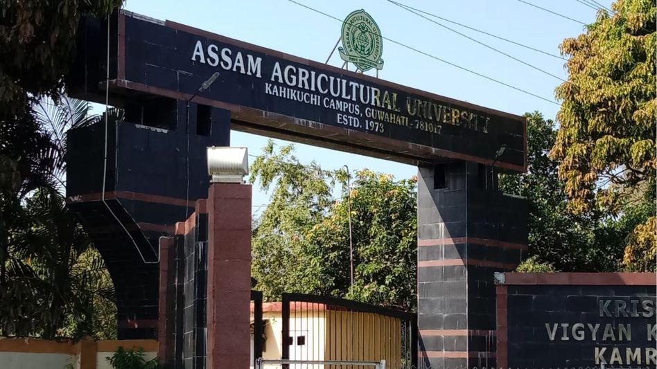 Assam Agricultural University leads soybean drive to strengthen nutritional and feed security Assam Agricultural University leads soybean drive to strengthen nutritional and feed security