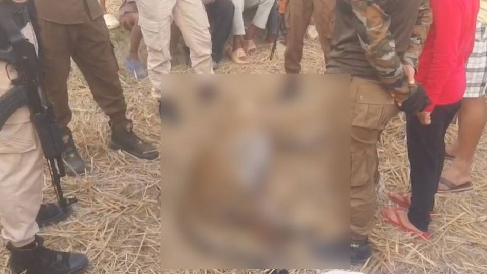 Leopard beaten to death in Assam’s Duliajan after brutal attack on man Leopard beaten to death in Assam’s Duliajan after brutal attack on man