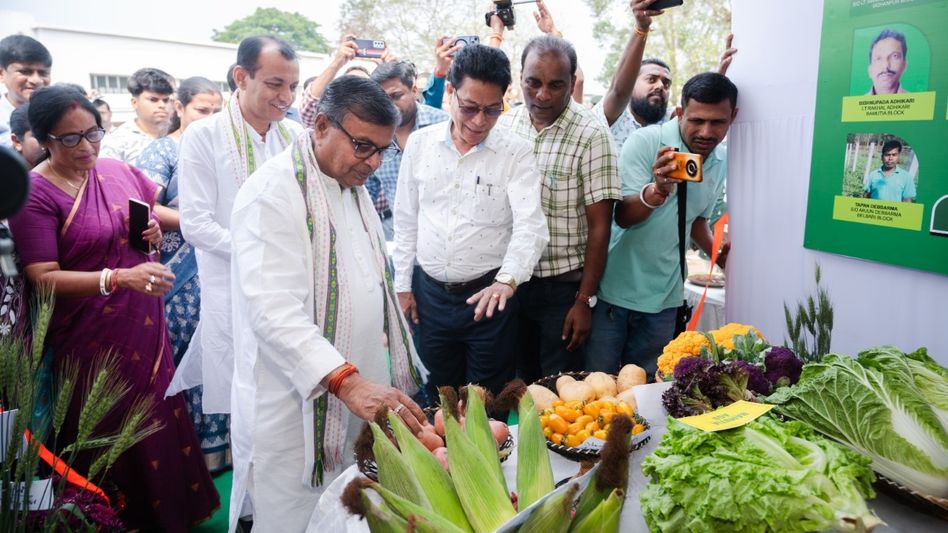 Food grain production rises by 12 per cent this year, youths driving innovation in agriculture: Tripura Minister Food grain production rises by 12 per cent this year, youths driving innovation in agriculture: Tripura Minister