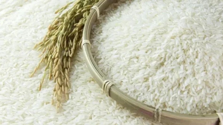 Assam’s GI-tagged Joha rice exported to UK, Italy for first time Assam’s GI-tagged Joha rice exported to UK, Italy for first time