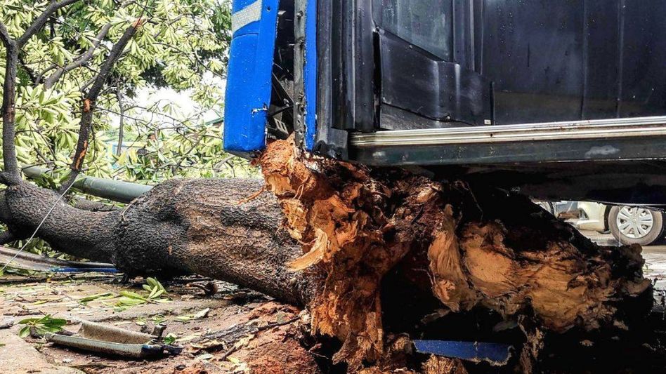 Four killed, 10 injured as bus hits tree in Assam’s Karbi Anglong Four killed, 10 injured as bus hits tree in Assam’s Karbi Anglong
