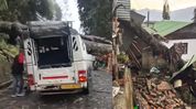 Tree fall during storm kills woman in Sikkim, three injured as severe weather hits several areas Tree fall during storm kills woman in Sikkim, three injured as severe weather hits several areas
