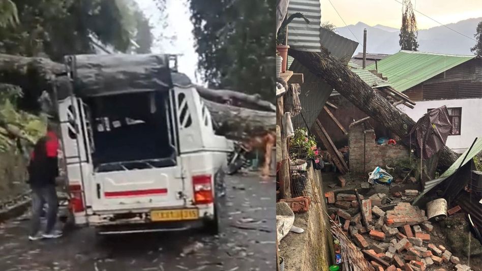 Tree falls on vehicle amid severe weather in Sikkim, three injured Tree falls on vehicle amid severe weather in Sikkim, three injured