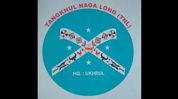 Tangkhul Naga Long raises concern over reported firing incidents in Manipur's Ukhrul region Tangkhul Naga Long raises concern over reported firing incidents in Manipur's Ukhrul region