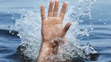 Representative Image Representative Image