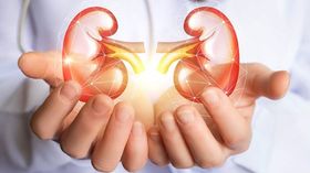 Representative Image Representative Image