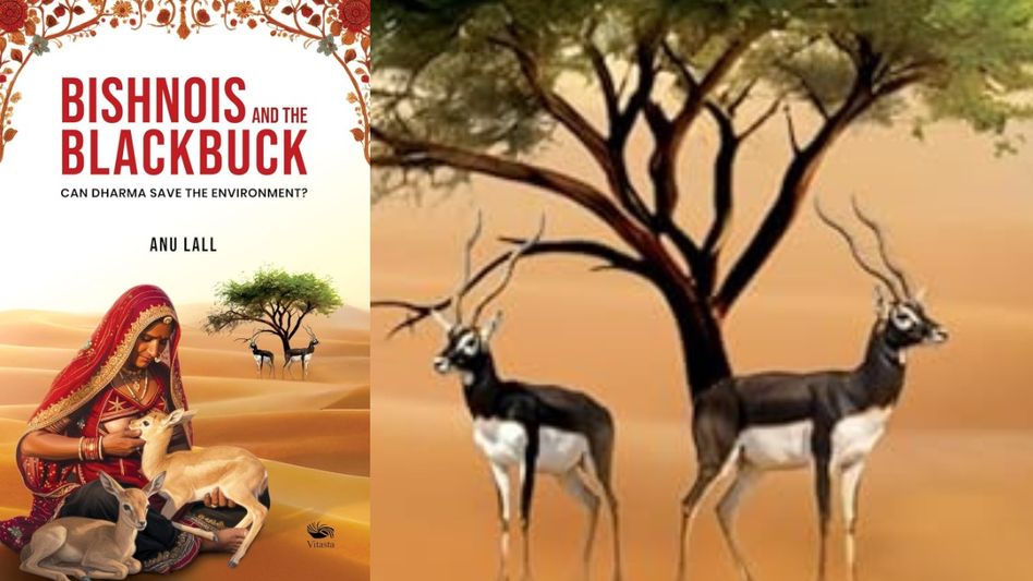 A Community That Chose Nature Over Everything A Community That Chose Nature Over Everything