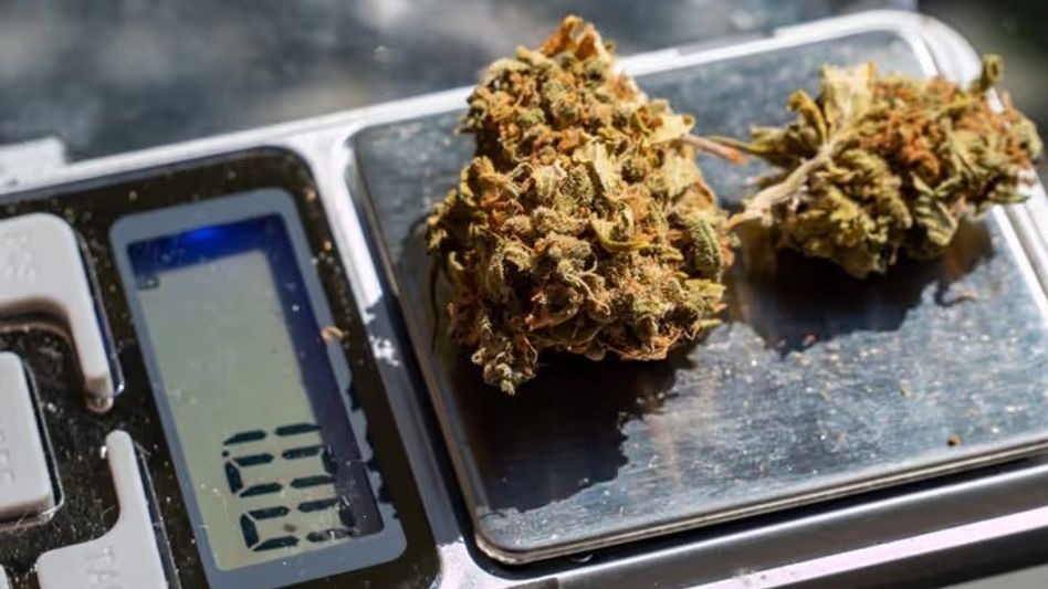 ED attaches Rs 2.21 crore assets in Tripura ganja trafficking money laundering case involving organised network ED attaches Rs 2.21 crore assets in Tripura ganja trafficking money laundering case involving organised network