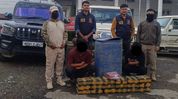 Security forces arrest three in separate anti-narcotics operations in Manipur; cannabis seized Security forces arrest three in separate anti-narcotics operations in Manipur; cannabis seized