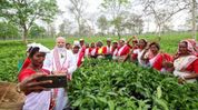 Narendra Modi visits Assam tea gardens as US–Iran war rattles tea trade Narendra Modi visits Assam tea gardens as US–Iran war rattles tea trade