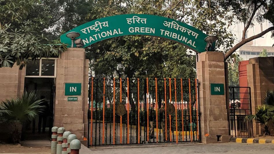 NGT Halts Assam move to deploy 1,600 forest personnel for poll duty, flags threat to biodiversity NGT Halts Assam move to deploy 1,600 forest personnel for poll duty, flags threat to biodiversity