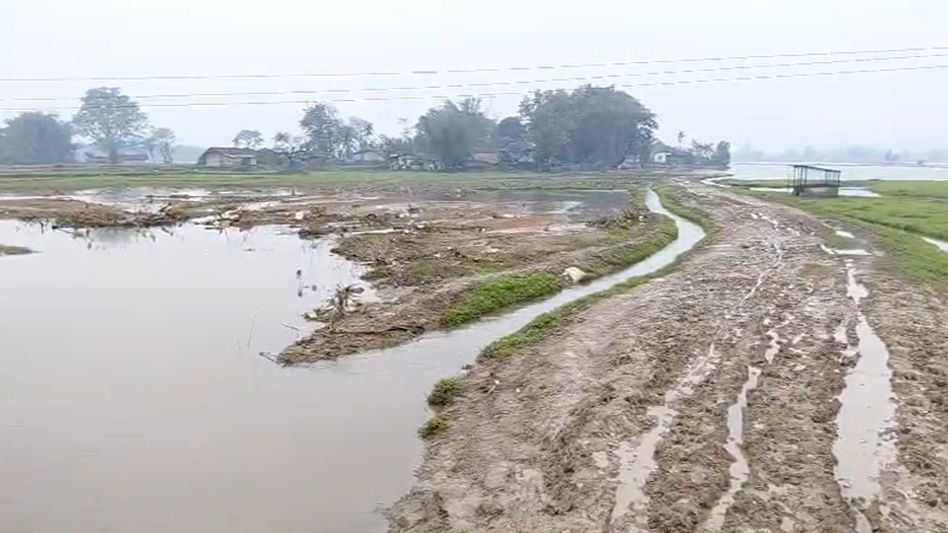 Developmental neglect persists in Hamukjan Gaon Panchayat under Assam's Margherita constituency Developmental neglect persists in Hamukjan Gaon Panchayat under Assam's Margherita constituency